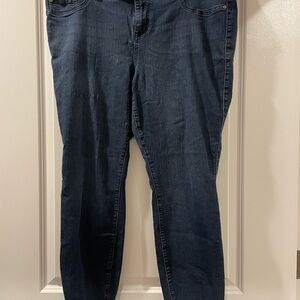 Torrid Blue Skinny Jeans Medium-Dark Wash